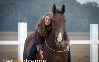 Fotoshooting Pferd